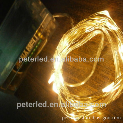 LED battery string light various color decoration for festival and family